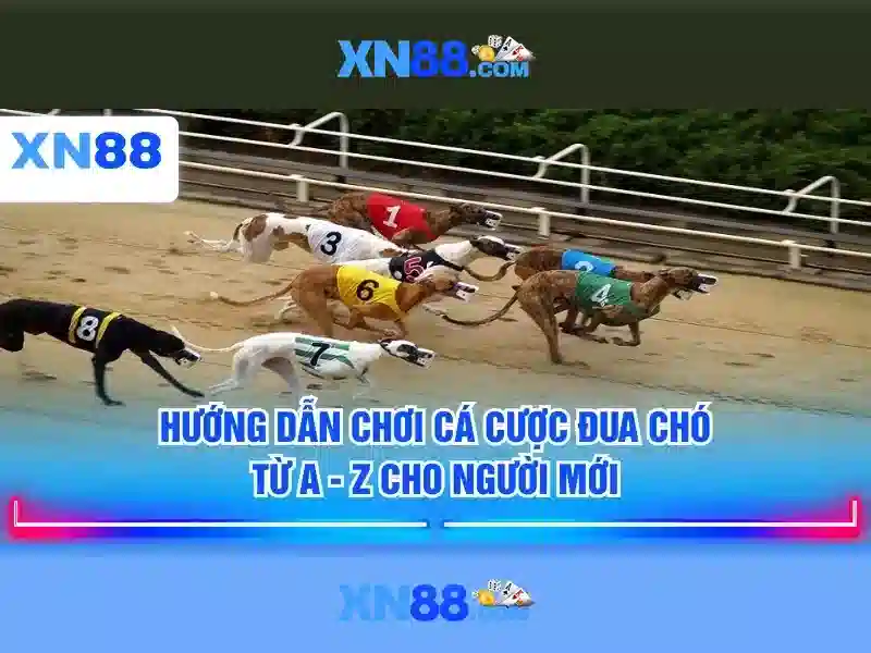 Khuyến mãi slot hấp dẫn