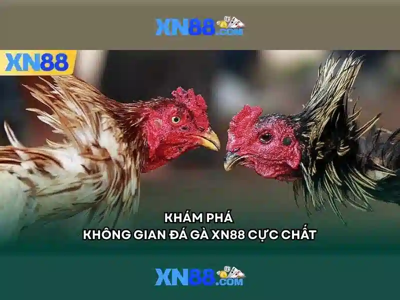 Hệ thống trò chơi đa dạng