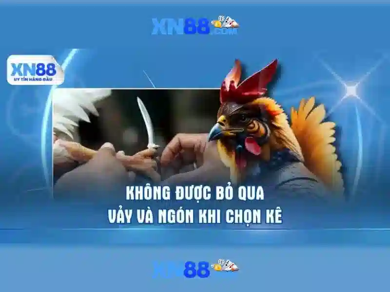 quy luật chơi Slot XN88