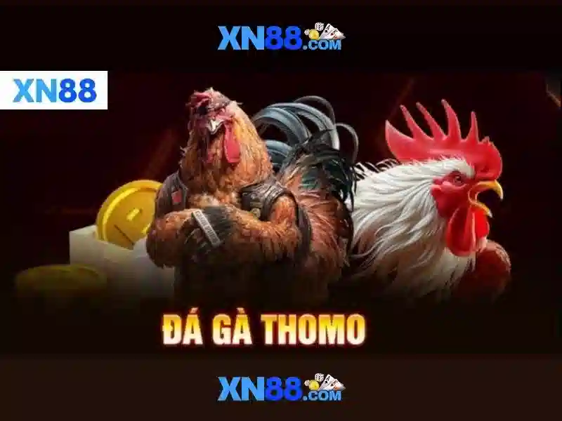 XN88 – Trải Nghiệm Slot Đa Dạng, Game Đỉnh Cao Cho Người Chơi