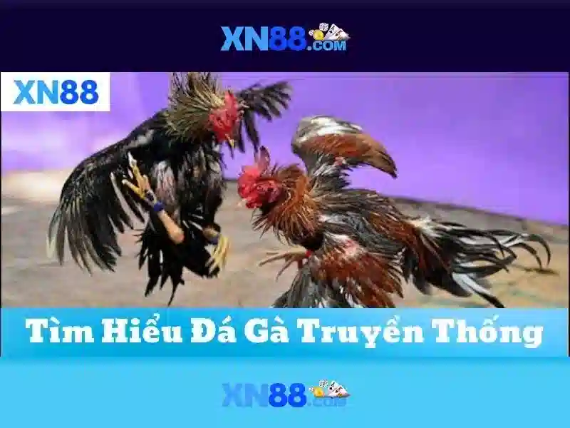 Đặc Điểm Nổi Bật Của XN88