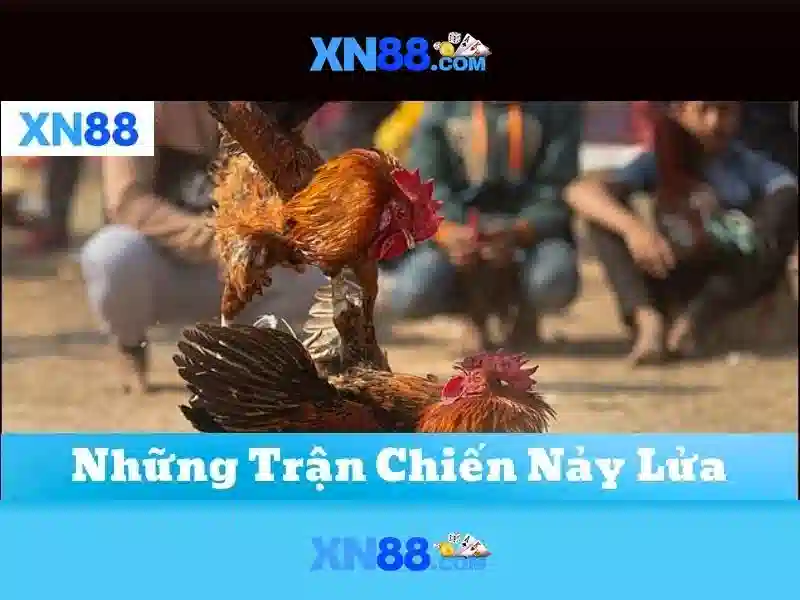 Trải nghiệm đa dạng