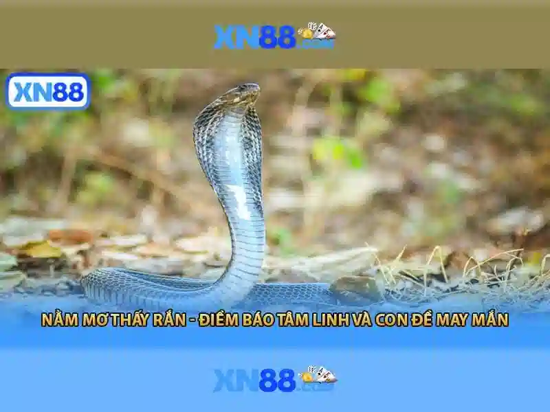 Kinh Nghiệm Chơi Slot