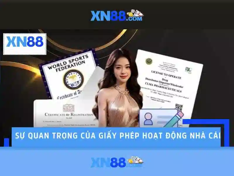 Trải Nghiệm Slot Đa Dạng Tại XN88