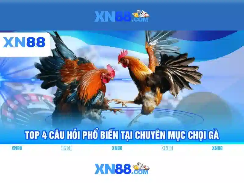 liên hệ XN88