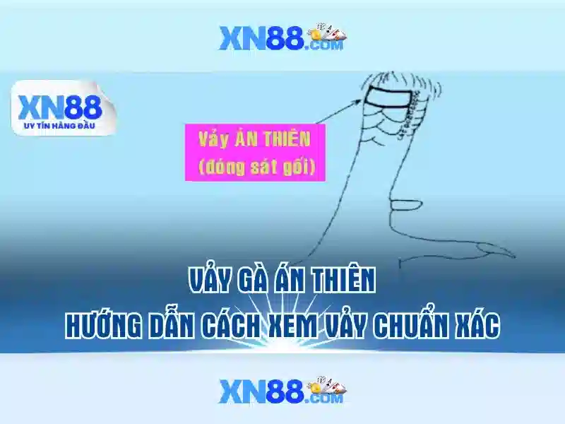 Khám Phá Các Tag Slot