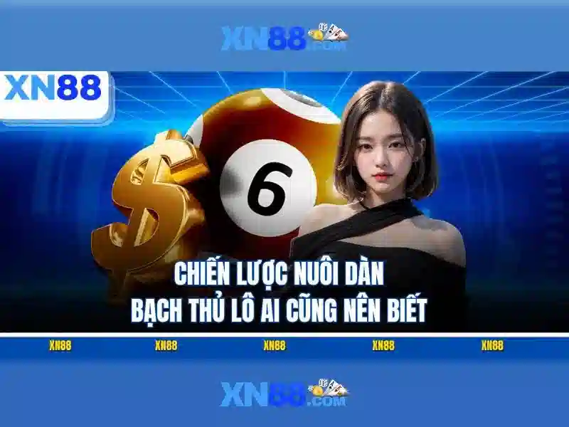 ưu đãi XN88