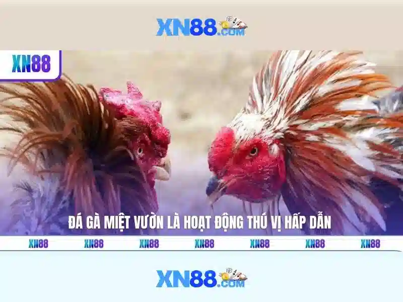 ưu đãi độc quyền XN88