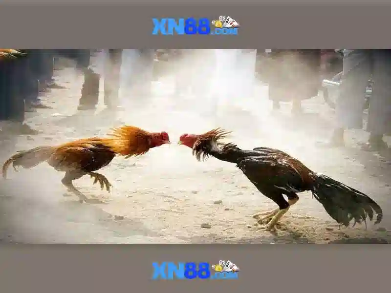 chơi game SLOT