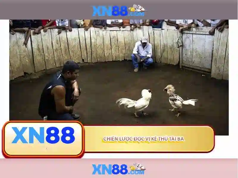 kèo tỷ lệ XN88