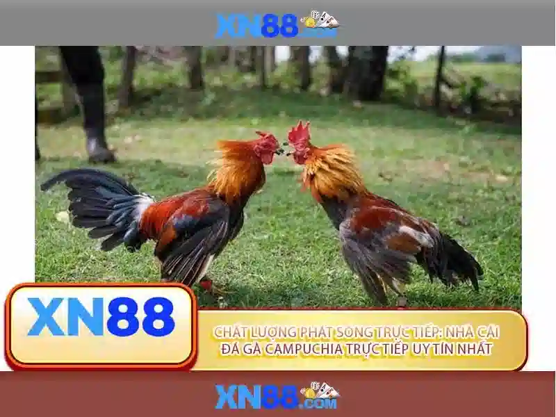 Bắn Cá