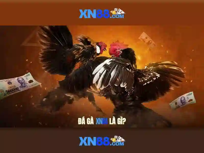 XN88 Platform Features