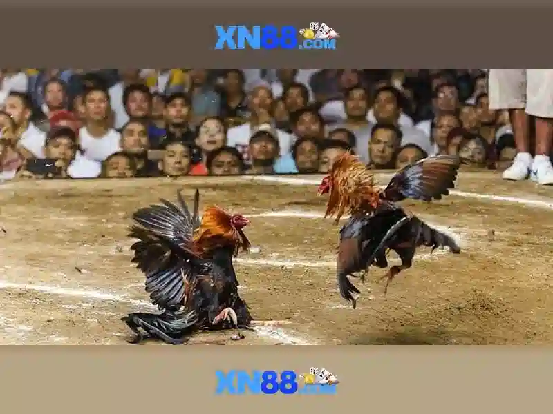 Slot online XN88