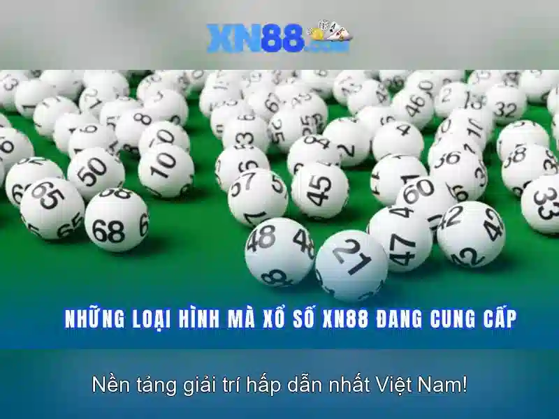 liên hệ XN88