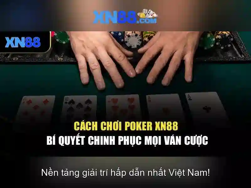 Tính năng độc quyền của XN88