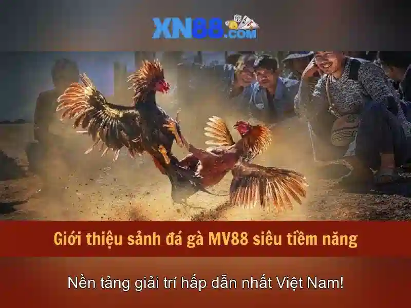 Trải Nghiệm Slot