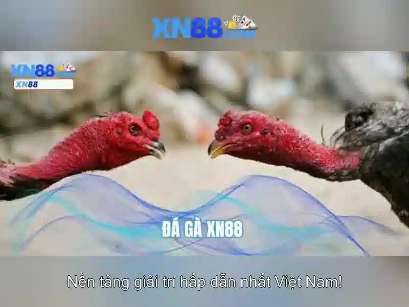 trò chơi slot XN88