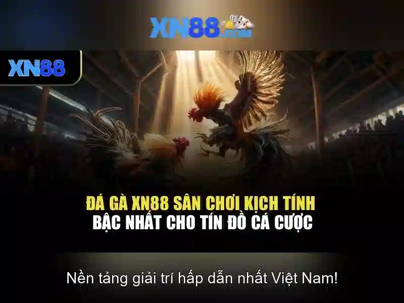 Trải nghiệm Slot đổi thưởng XN88