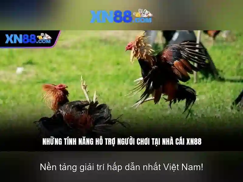 Hướng Dẫn Tải XN88 IMG&E;--></p><p>Để bắt đầu trải nghiệm, người chơi chỉ cần <strong>tải XN88</strong> thông qua link chính thức. Sau khi cài đặt ứng dụng, người chơi đăng ký tài khoản và nạp tiền vào ví. Với giao diện trực quan, người chơi có thể dễ dàng tìm kiếm trò chơi slot yêu thích và bắt đầu vui chơi ngay lập tức. XN88 cũng cung cấp hướng dẫn chi tiết về cách chơi từng loại trò chơi slot, giúp người mới bắt đầu nhanh chóng làm quen.</p><h2><strong>Chính Sách Hỗ Trợ Khách Hàng Tốt Nhất</strong></h2><p>XN88 cam kết mang đến dịch vụ chăm sóc khách hàng chuyên nghiệp. Đội ngũ hỗ trợ 24/7 luôn sẵn sàng giải đáp mọi thắc mắc liên quan đến <strong>tải XN88</strong>, quy trình nạp/rút tiền, hoặc các vấn đề kỹ thuật. Người chơi có thể liên hệ qua chat trực tuyến, email hoặc hotline để nhận được sự hỗ trợ kịp thời. Ngoài ra, XN88 còn tổ chức các sự kiện trao đổi trực tiếp với cộng đồng người chơi, tạo ra không khí sôi động và gắn kết.</p><h3><strong>Tại Sao Nên Chọn XN88?</strong></h3><p class='body_img'></p><p>Để bắt đầu trải nghiệm, người chơi chỉ cần <strong>tải XN88</strong> thông qua link chính thức. Sau khi cài đặt ứng dụng, người chơi đăng ký tài khoản và nạp tiền vào ví. Với giao diện trực quan, người chơi có thể dễ dàng tìm kiếm trò chơi slot yêu thích và bắt đầu vui chơi ngay lập tức. XN88 cũng cung cấp hướng dẫn chi tiết về cách chơi từng loại trò chơi slot, giúp người mới bắt đầu nhanh chóng làm quen.</p><h2><strong>Chính Sách Hỗ Trợ Khách Hàng Tốt Nhất</strong></h2><p>XN88 cam kết mang đến dịch vụ chăm sóc khách hàng chuyên nghiệp. Đội ngũ hỗ trợ 24/7 luôn sẵn sàng giải đáp mọi thắc mắc liên quan đến <strong>tải XN88</strong>, quy trình nạp/rút tiền, hoặc các vấn đề kỹ thuật. Người chơi có thể liên hệ qua chat trực tuyến, email hoặc hotline để nhận được sự hỗ trợ kịp thời. Ngoài ra, XN88 còn tổ chức các sự kiện trao đổi trực tiếp với cộng đồng người chơi, tạo ra không khí sôi động và gắn kết.</p><h3><strong>Tại Sao Nên Chọn XN88?</strong></h3><p class='body_img'><div class=