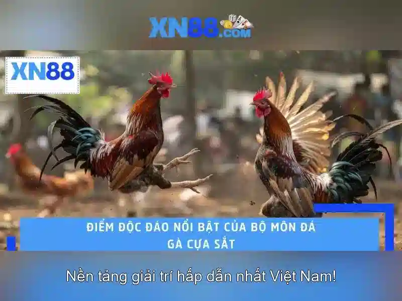 Cách truy cập XN88 an toàn