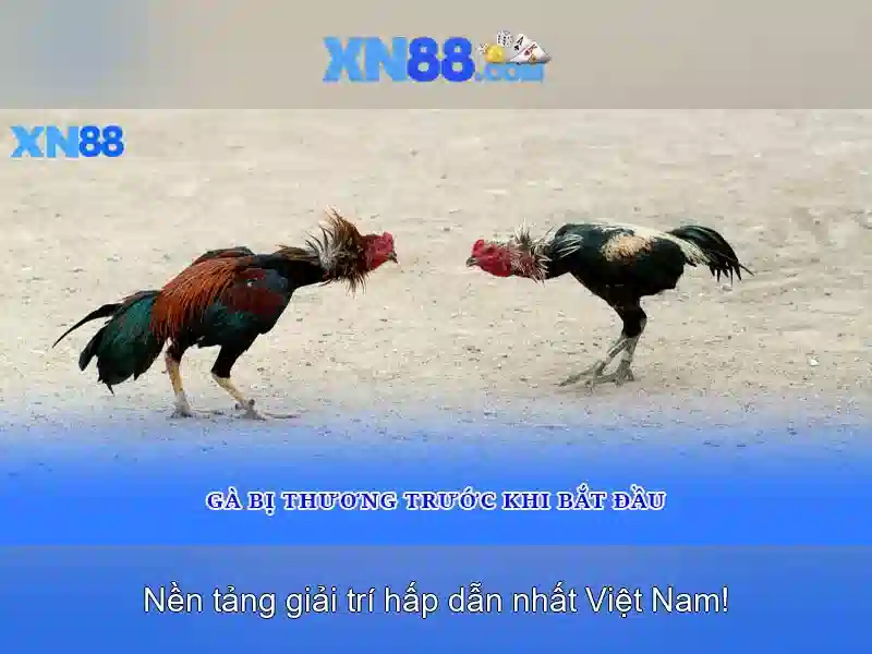 Đa Dạng Thể Loại Slot