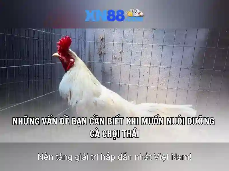 slot mới nhất 2026