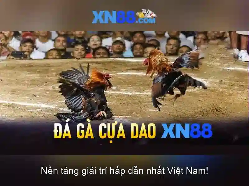 XN88 Casino – Trải Nghiệm Slot Đỉnh Cao Tại Việt Nam