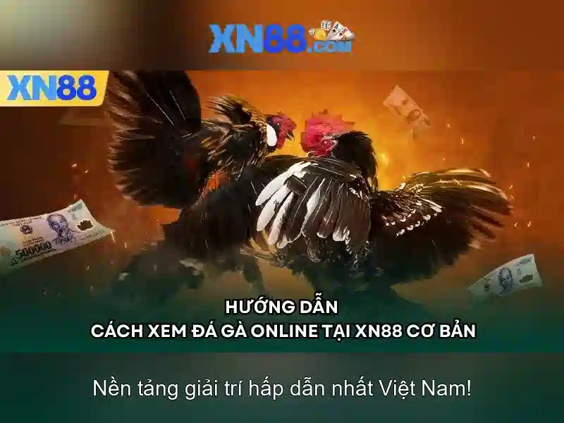 Xổ Số XN88 Gaming