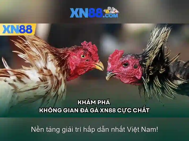tính năng xn88 app