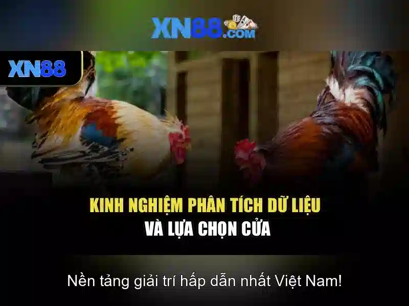 Giới Thiệu Về Xổ Số XN88 2026