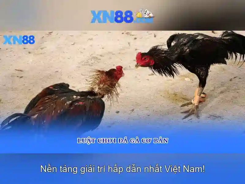 Khuyến Mãi Slot