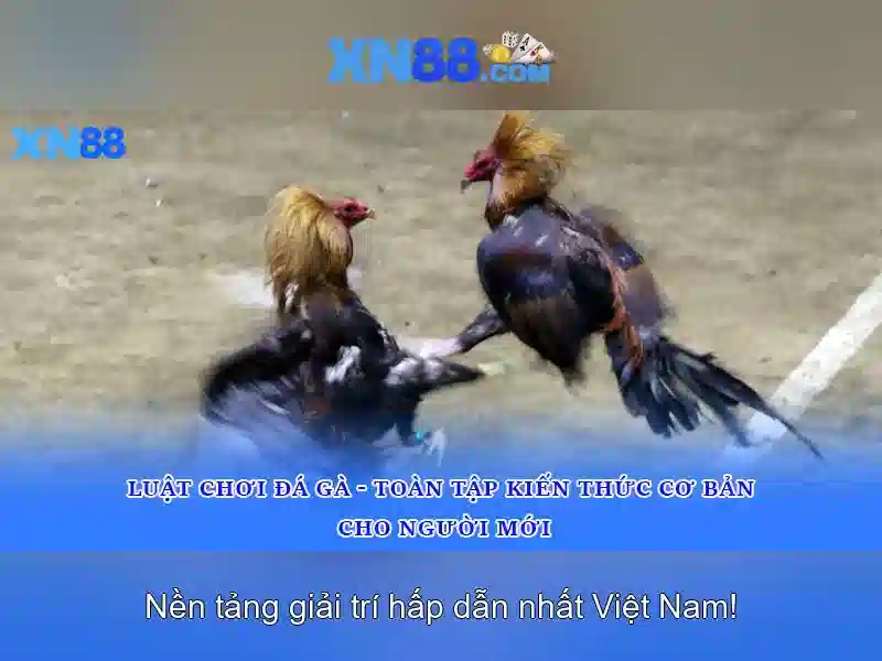 Tải App XN88
