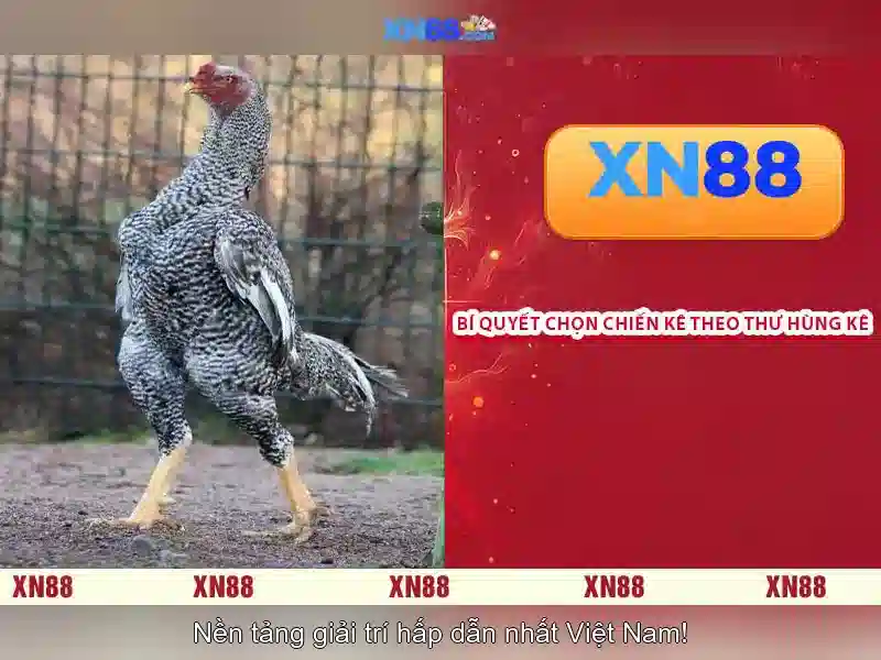 trải nghiệm game slot