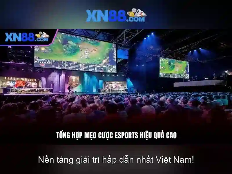 giải trí trực tuyến XN88
