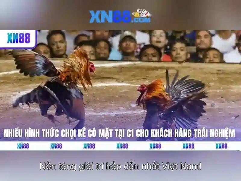 XN88 - Trang Chủ XN88 - Casino Slot, Bắn Cá, Đá Gà, Thể Thao