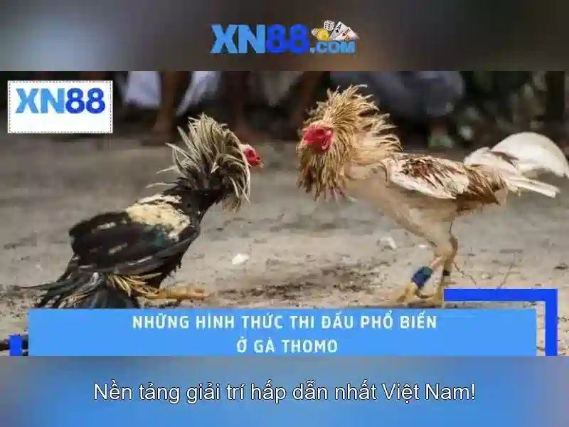 Tin Tức Bắn Cá XN88