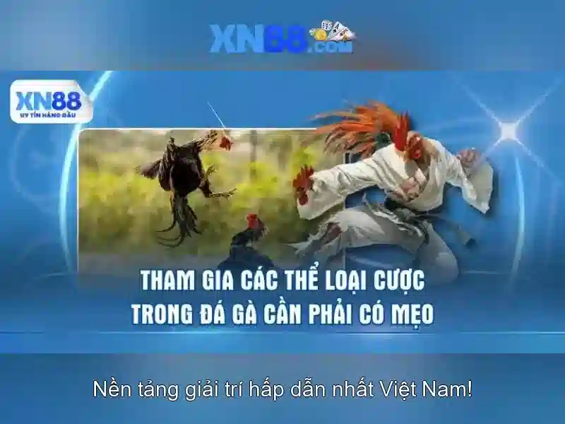 Ưu Đãi Độc Quyền