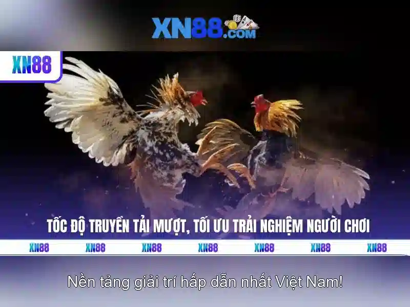 XN88 – Tải XN88 App, Trải Nghiệm Slot Đỉnh Cao Không Bị Chặn 2026