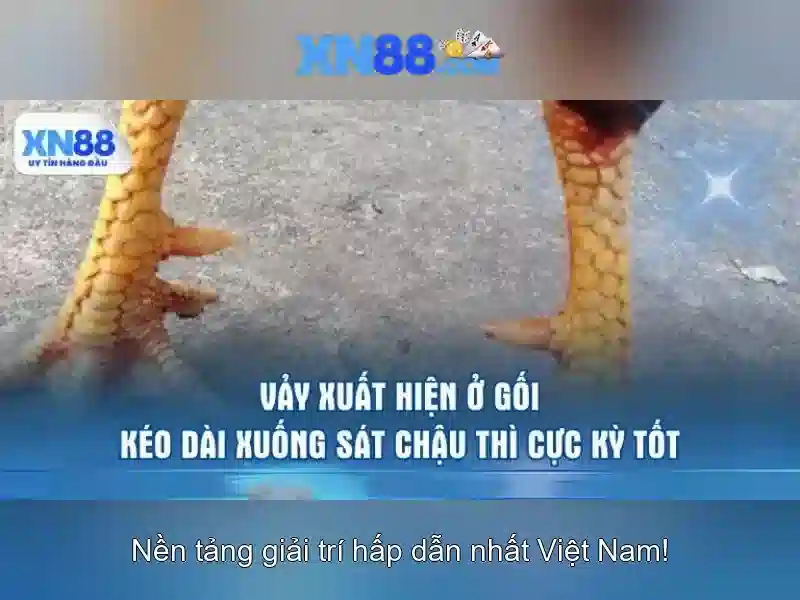 Hướng Dẫn Đăng Ký XN88 Win