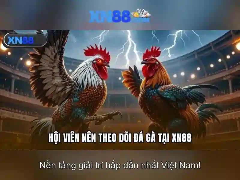 Hướng Dẫn Đăng Ký XN88 Win