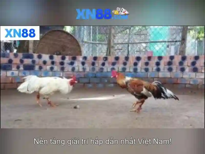Hướng dẫn đăng ký XN88