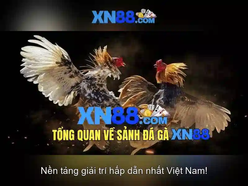 Các dịch vụ Slot tại XN88