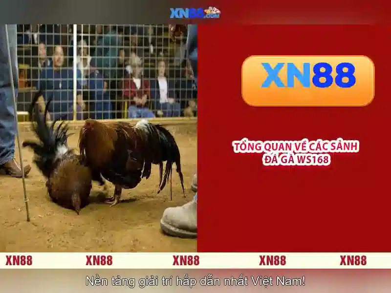 Trải Nghiệm Slot Đỉnh Cao
